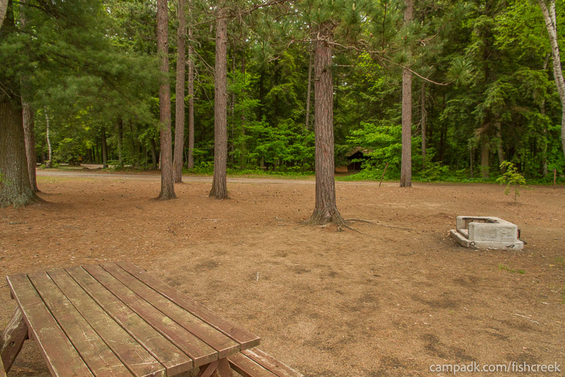 Campsite Photo of Site 1 at Fish Creek Pond Campground, New York - Looking Back Towards Road