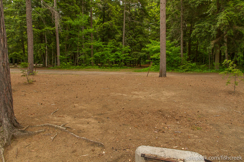 Campsite Photo of Site 1 at Fish Creek Pond Campground, New York - Looking Back Towards Road