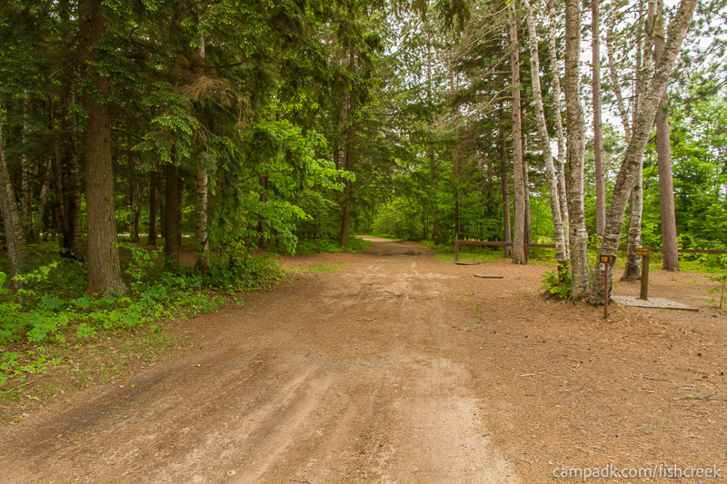 Campsite Photo of Site 1 at Fish Creek Pond Campground, New York - View Down Road from Campsite