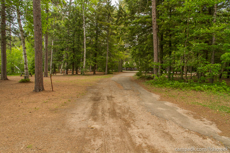 Campsite Photo of Site 1 at Fish Creek Pond Campground, New York - View Down Road from Campsite