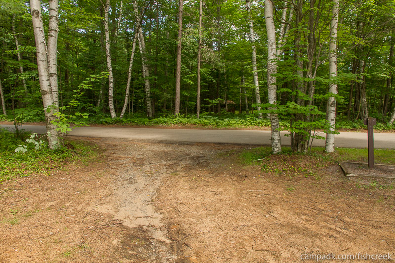 Campsite Photo of Site 46 at Fish Creek Pond Campground, New York - Looking Back Towards Road
