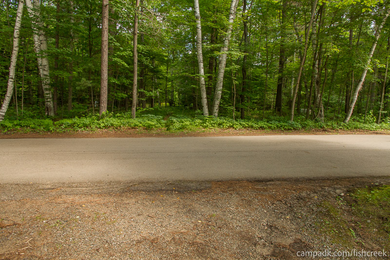 Campsite Photo of Site 46 at Fish Creek Pond Campground, New York - Looking Back Towards Road