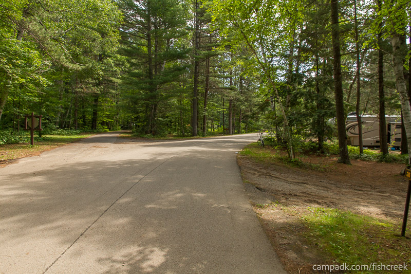 Campsite Photo of Site 46 at Fish Creek Pond Campground, New York - View Down Road from Campsite