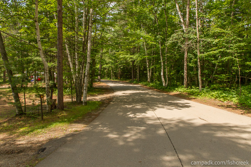 Campsite Photo of Site 46 at Fish Creek Pond Campground, New York - View Down Road from Campsite