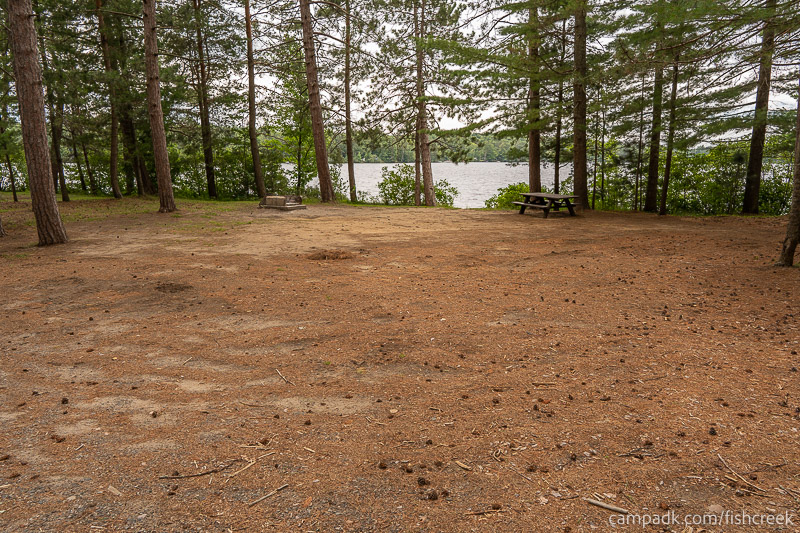 Campsite Photo of Site 106 at Fish Creek Pond Campground, New York - Looking at Site from Road