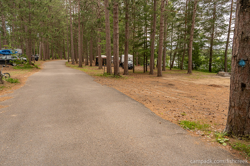 Campsite Photo of Site 106 at Fish Creek Pond Campground, New York - View Down Road from Campsite