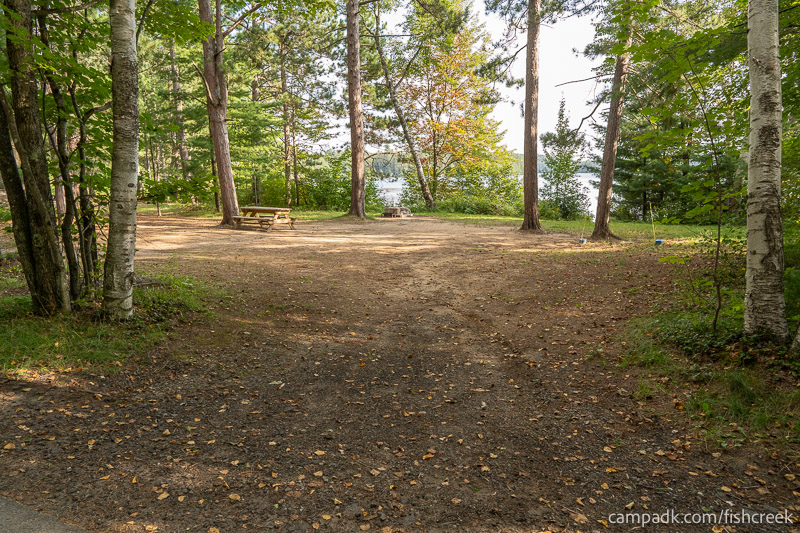 Campsite Photo of Site 46 at Fish Creek Pond Campground, New York - Looking at Site from Road