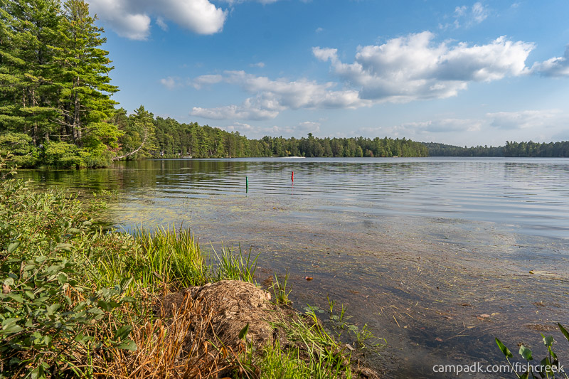 Campsite Photo of Site 46 at Fish Creek Pond Campground, New York - View from Shoreline