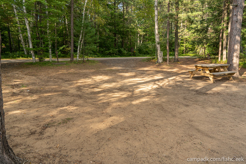 Campsite Photo of Site 46 at Fish Creek Pond Campground, New York - Looking Back Towards Road