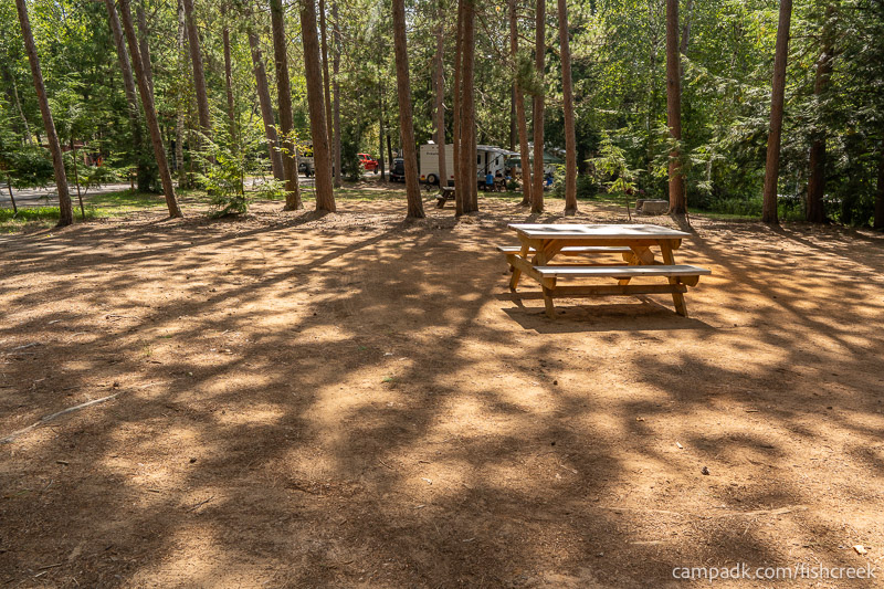 Campsite Photo of Site 1 at Fish Creek Pond Campground, New York - Cross Site View