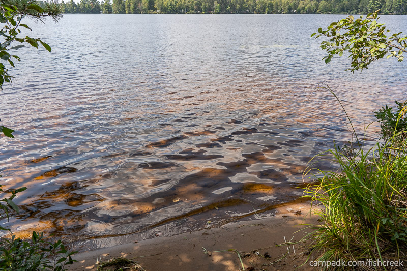 Campsite Photo of Site 1 at Fish Creek Pond Campground, New York - Shoreline