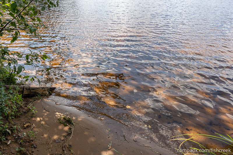 Campsite Photo of Site 1 at Fish Creek Pond Campground, New York - Shoreline