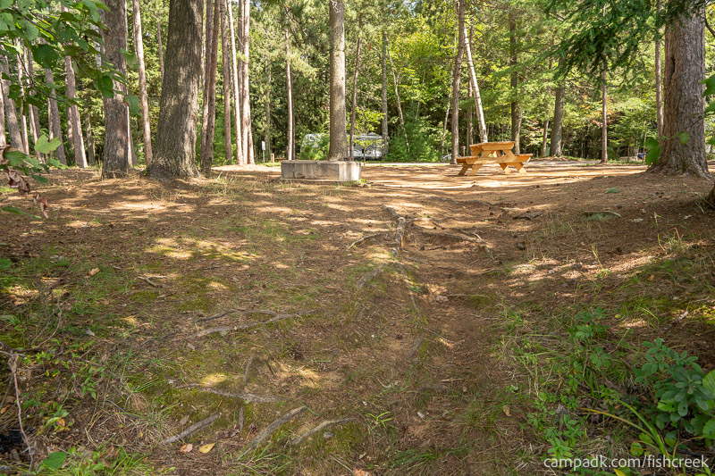 Campsite Photo of Site 1 at Fish Creek Pond Campground, New York - Returning Along Pathway from Water