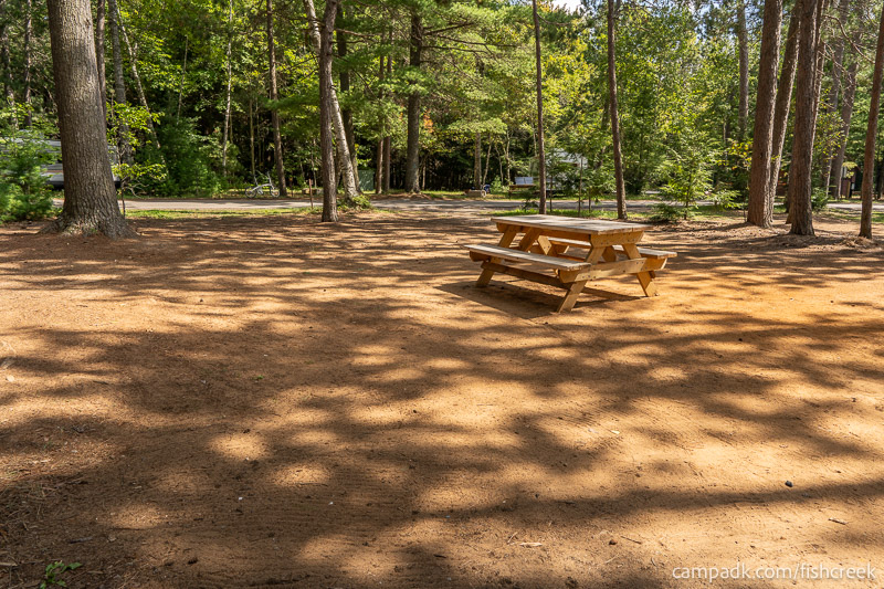 Campsite Photo of Site 1 at Fish Creek Pond Campground, New York - Looking Back Towards Road