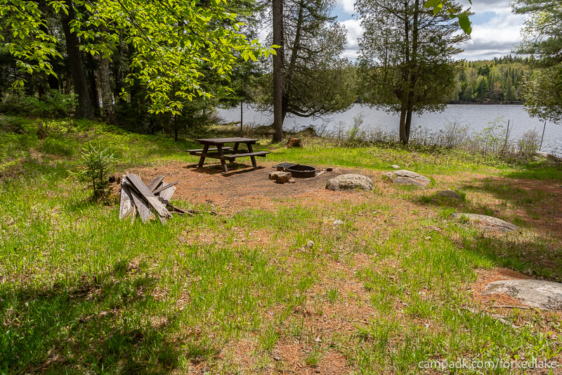 Campsite Photo of Site 12 at Forked Lake Campground, New York - Approaching Site from Hike-In Pathway