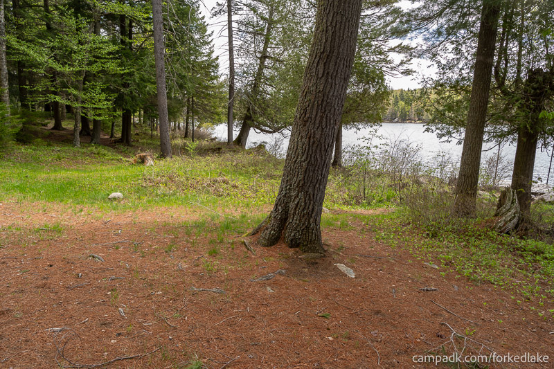 Campsite Photo of Site 12 at Forked Lake Campground, New York - View Across Site