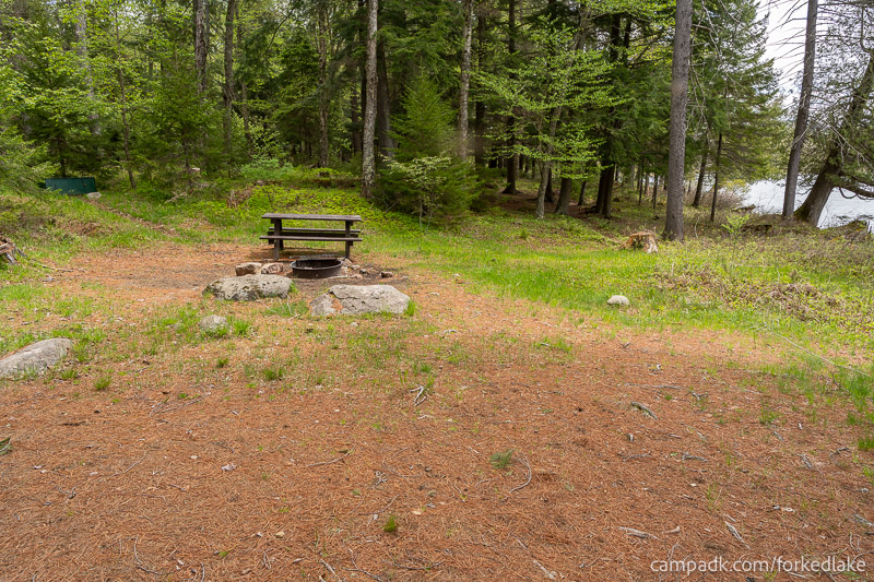 Campsite Photo of Site 12 at Forked Lake Campground, New York - View Across Site
