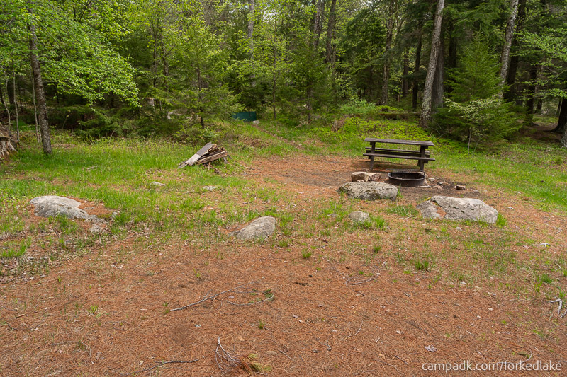 Campsite Photo of Site 12 at Forked Lake Campground, New York - View Across Site