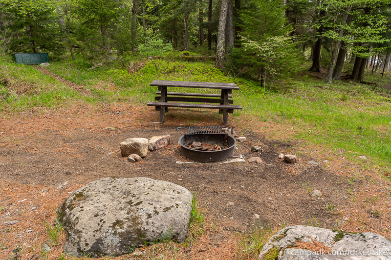Campsite Photo of Site 12 at Forked Lake Campground, New York - View from Fireplace