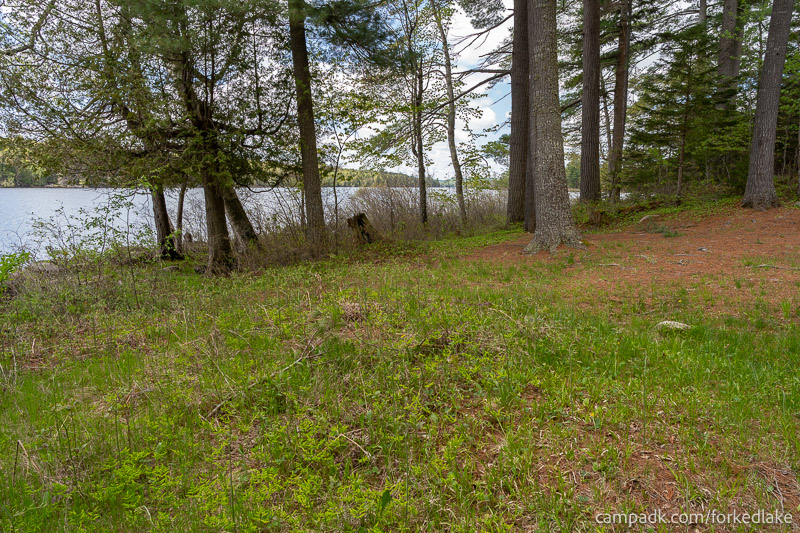 Campsite Photo of Site 12 at Forked Lake Campground, New York - View Across Site