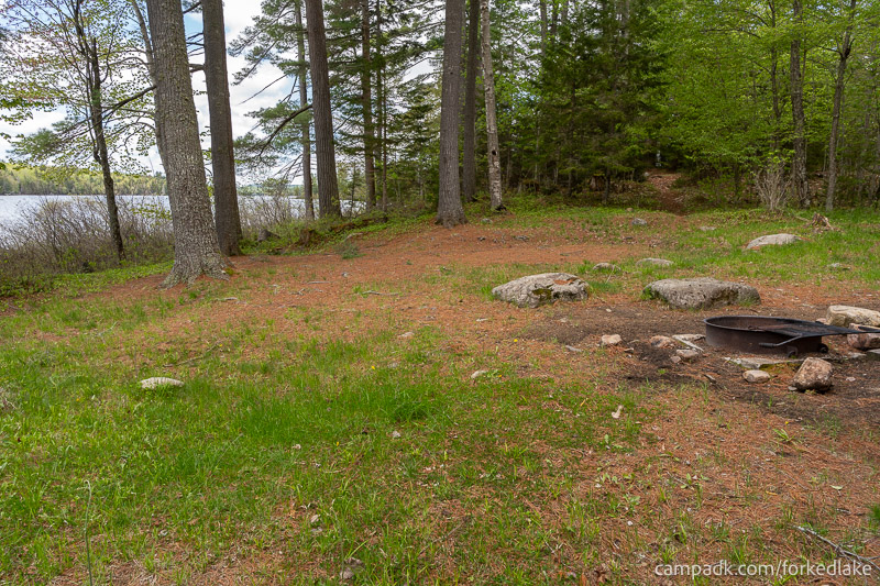 Campsite Photo of Site 12 at Forked Lake Campground, New York - View Across Site