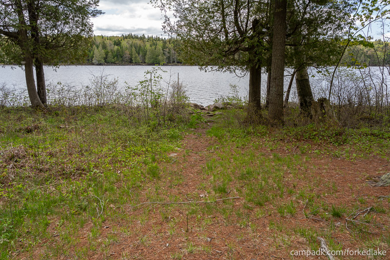 Campsite Photo of Site 12 at Forked Lake Campground, New York - Path Back Down To Water