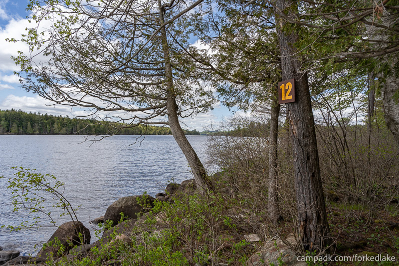 Campsite Photo of Site 12 at Forked Lake Campground, New York - Shoreline Area