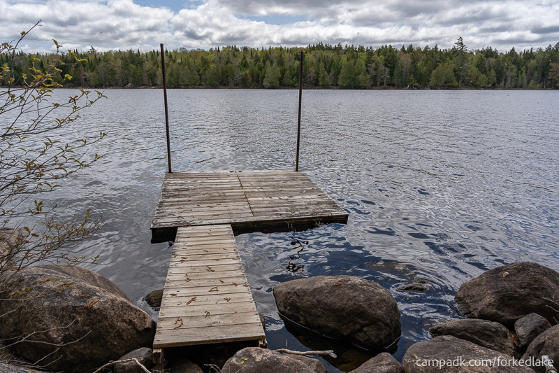 Campsite Photo of Site 12 at Forked Lake Campground, New York - Shoreline Area