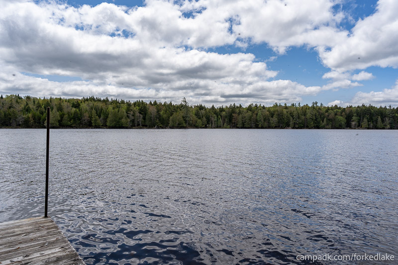 Campsite Photo of Site 12 at Forked Lake Campground, New York - View from Site Shoreline