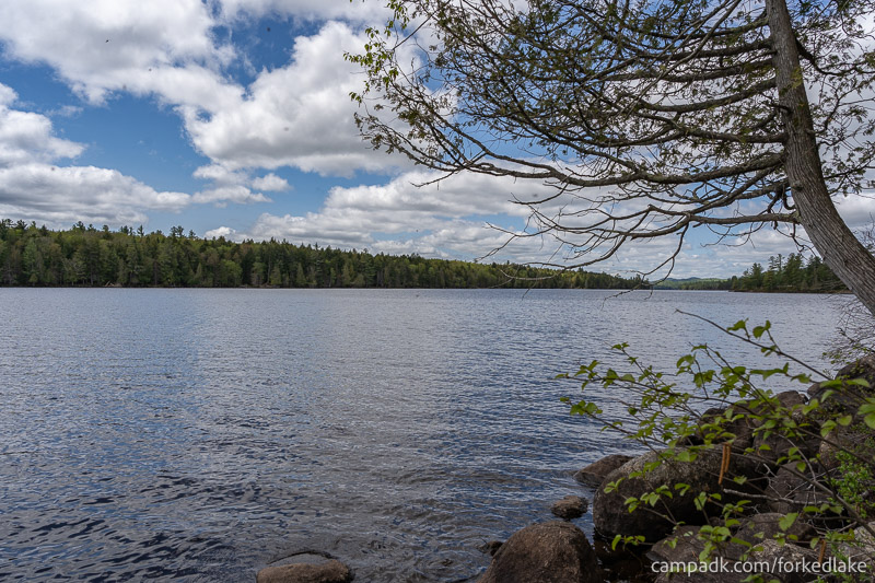 Campsite Photo of Site 12 at Forked Lake Campground, New York - View from Site Shoreline