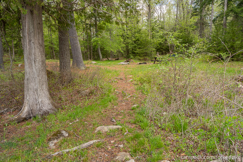 Campsite Photo of Site 12 at Forked Lake Campground, New York - Heading to Campsite from Shoreline