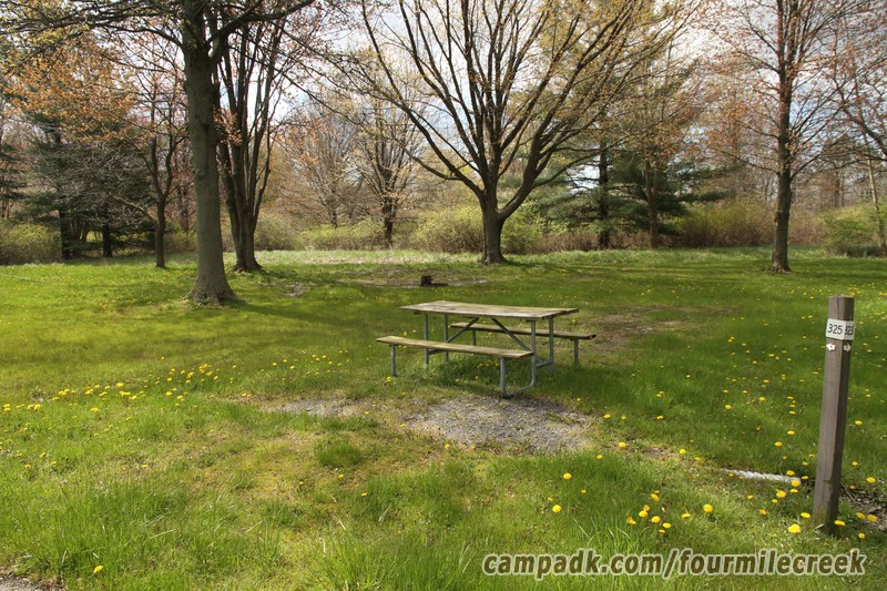 Campsite Photo of Site 325 at Four Mile Creek State Park, New York - Looking at Site from Road Sign Visible