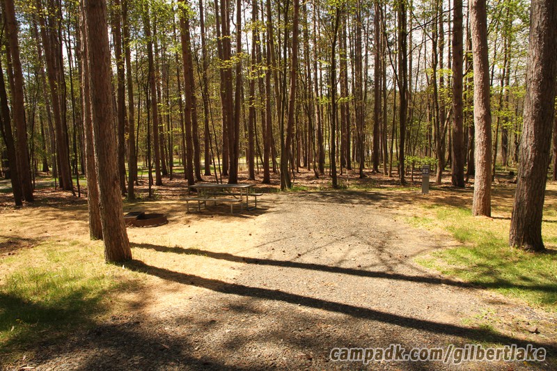 Campsite Photo of Site 81 at Gilbert Lake State Park, New York - Looking at Site from Road