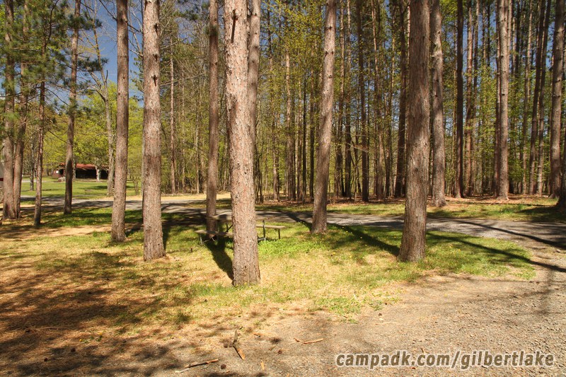 Campsite Photo of Site 81 at Gilbert Lake State Park, New York - Cross Site View