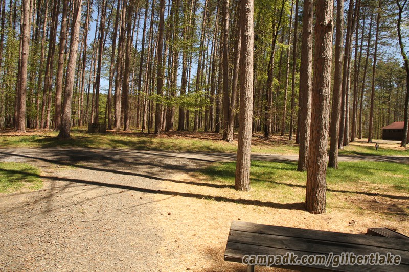 Campsite Photo of Site 81 at Gilbert Lake State Park, New York - Looking Back Towards Road
