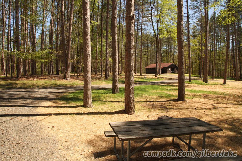 Campsite Photo of Site 81 at Gilbert Lake State Park, New York - Looking Back Towards Road