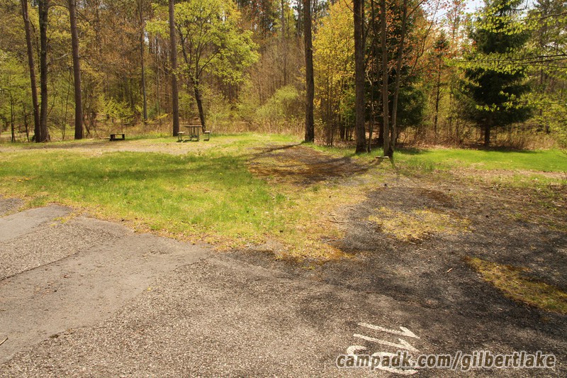 Campsite Photo of Site 119 at Gilbert Lake State Park, New York - Looking at Site from Road Sign Visible