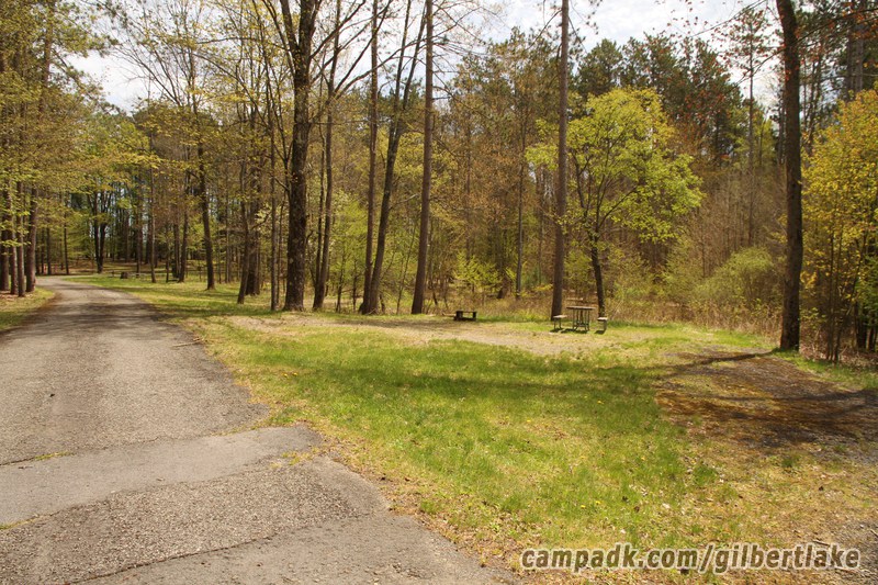 Campsite Photo of Site 119 at Gilbert Lake State Park, New York - Looking at Site from Road