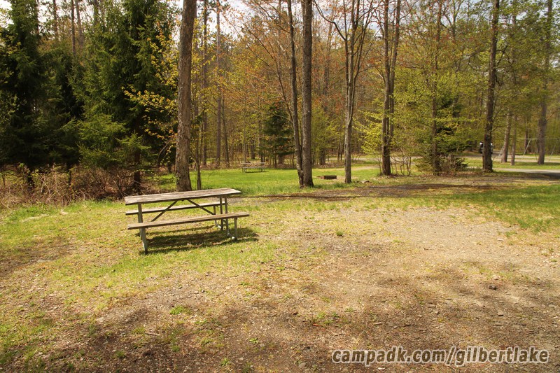 Campsite Photo of Site 119 at Gilbert Lake State Park, New York - Cross Site View
