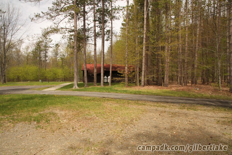 Campsite Photo of Site 119 at Gilbert Lake State Park, New York - Looking Back Towards Road