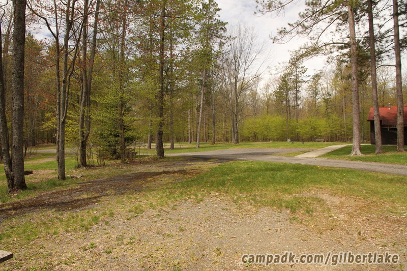 Campsite Photo of Site 119 at Gilbert Lake State Park, New York - Looking Back Towards Road