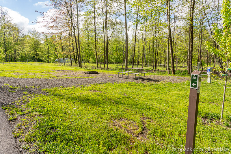 Campsite Photo of Site 81 at Gilbert Lake State Park, New York - Looking at Site from Road Sign Visible