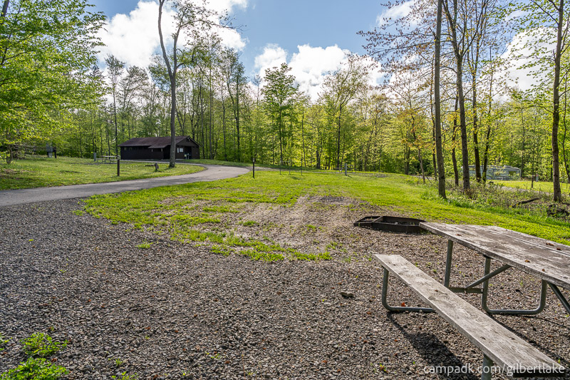 Campsite Photo of Site 81 at Gilbert Lake State Park, New York - Cross Site View