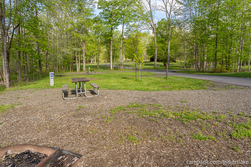 Campsite Photo of Site 81 at Gilbert Lake State Park, New York - Cross Site View