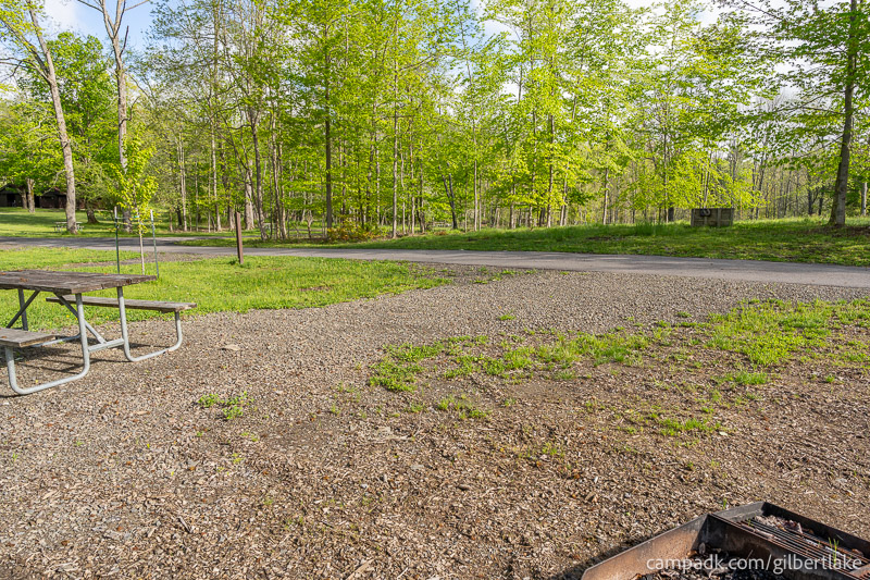 Campsite Photo of Site 81 at Gilbert Lake State Park, New York - Looking Back Towards Road