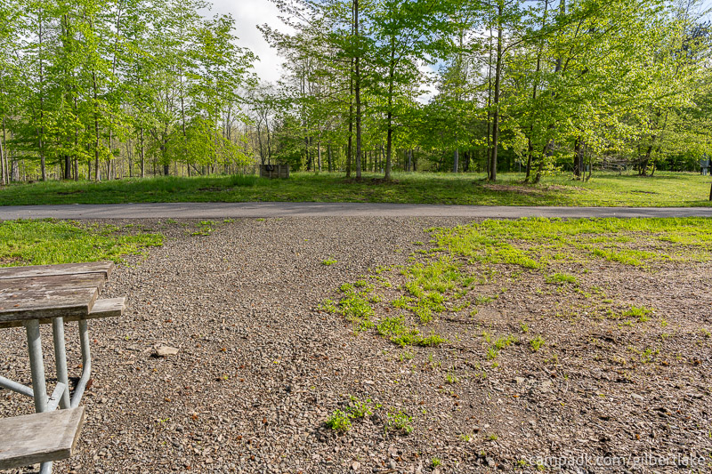 Campsite Photo of Site 81 at Gilbert Lake State Park, New York - Looking Back Towards Road