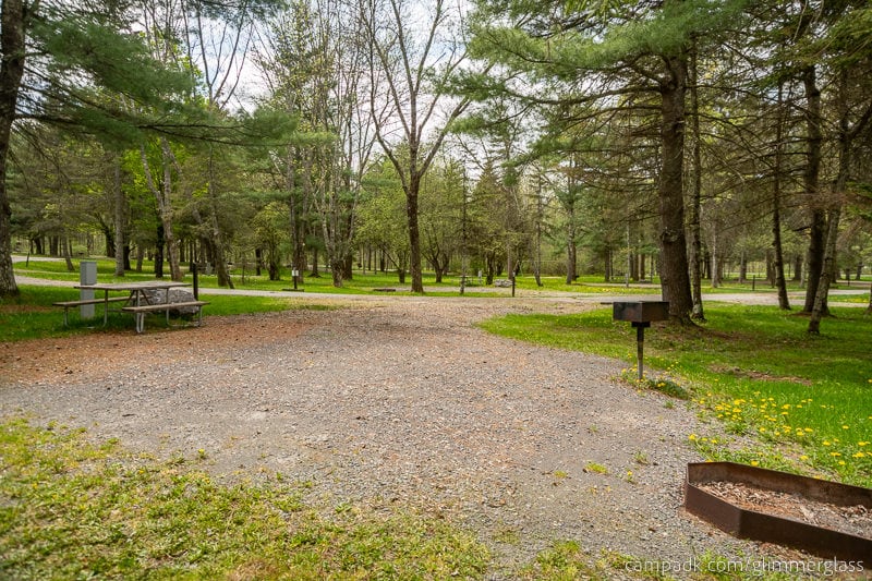 Campsite Photo of Site 7 at Glimmerglass State Park, New York - Looking Back Towards Road