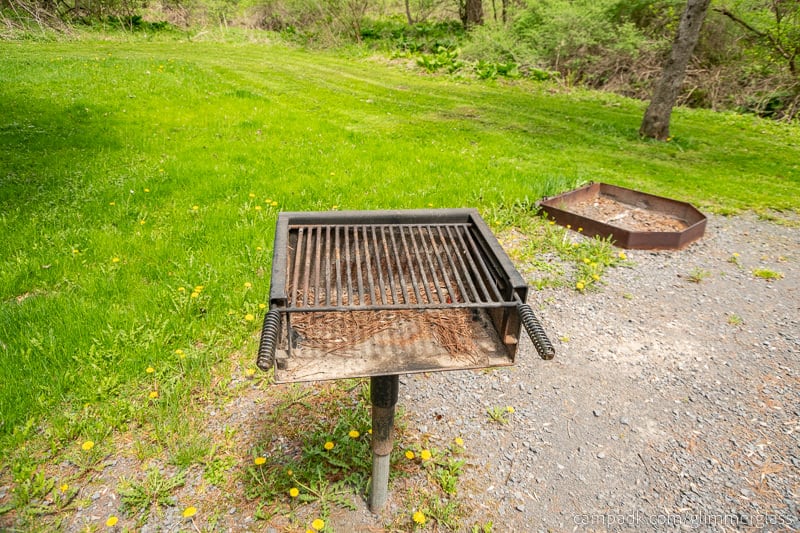 Campsite Photo of Site 7 at Glimmerglass State Park, New York - Fireplace View