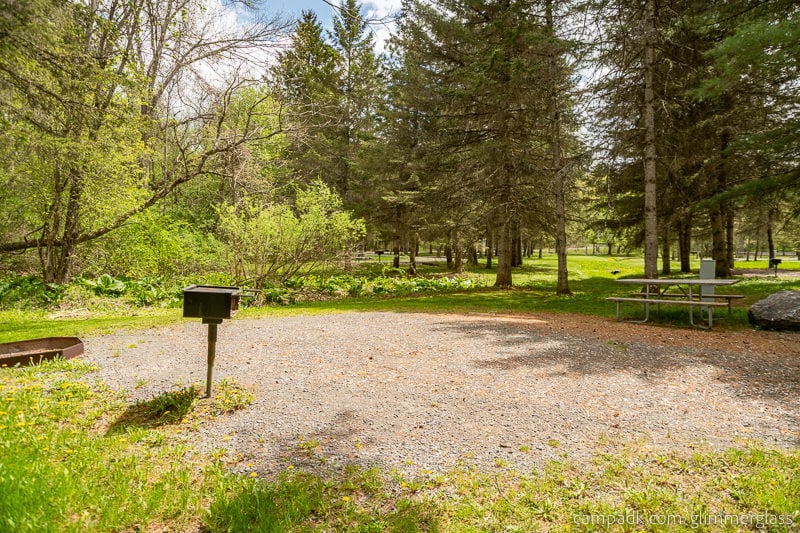 Campsite Photo of Site 7 at Glimmerglass State Park, New York - Cross Site View