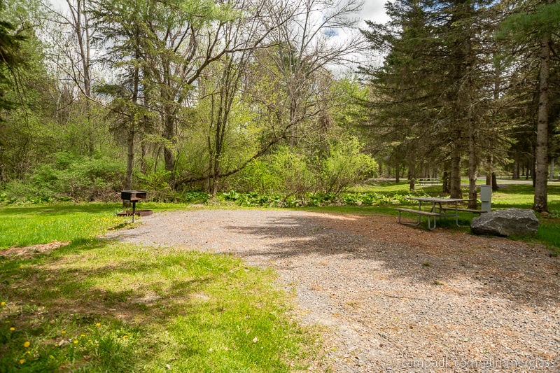 Campsite Photo of Site 7 at Glimmerglass State Park, New York - Looking at Site from Road